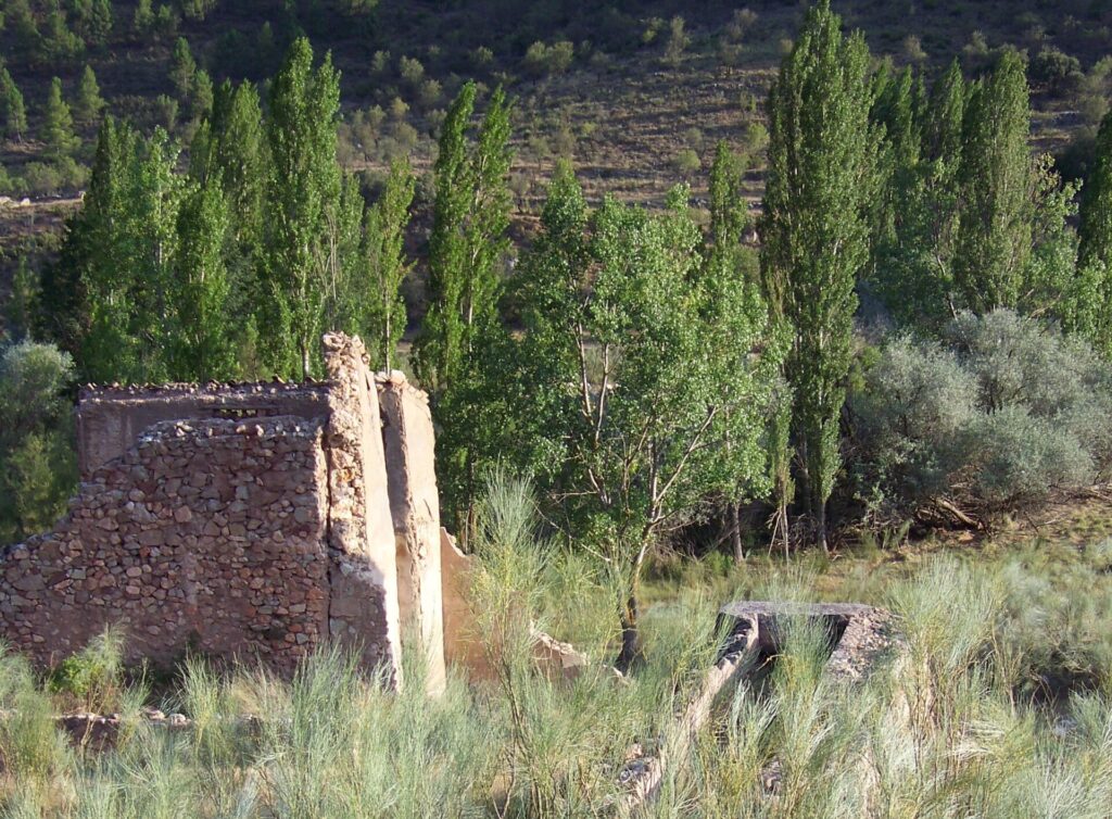 07020170028 Molino de las Mohedas 1 scaled