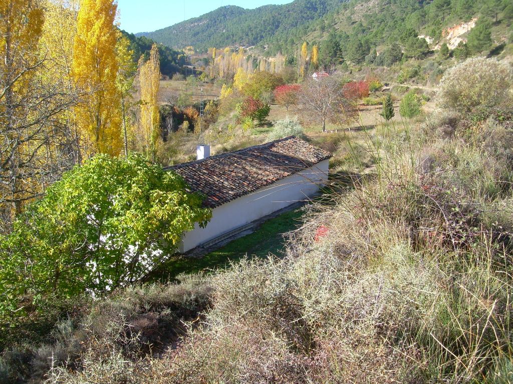07020580021 Molino del Rey 1