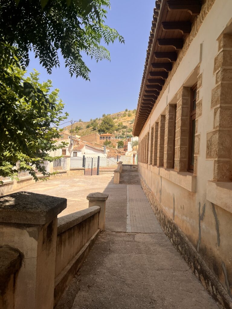 Foto 2. LIE 02 Cantarranas Lietor