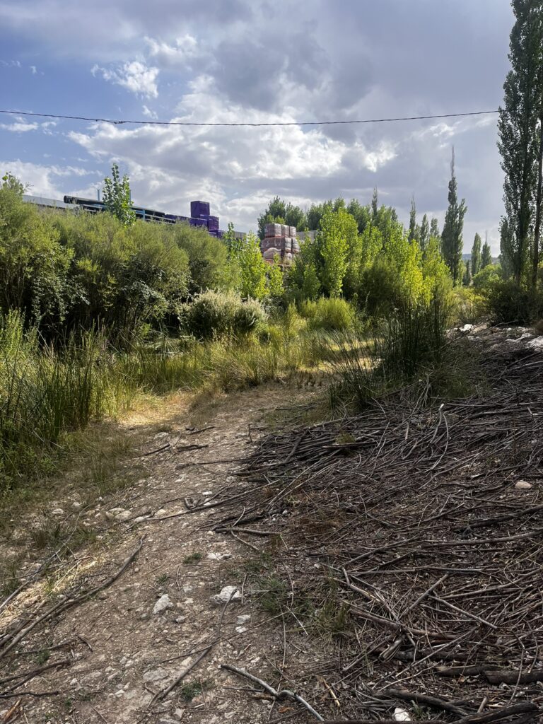 Foto 2. NER 04 Ruta del Arroyo