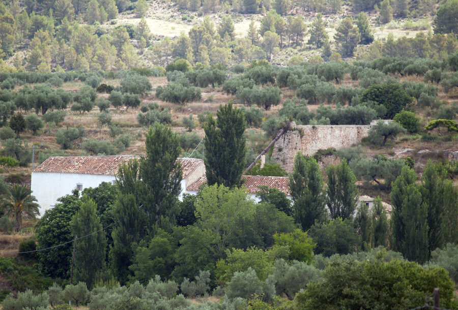 Foto 3 LET 04